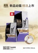 爵加新品幼貓精選上市！